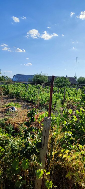 Фото объявления